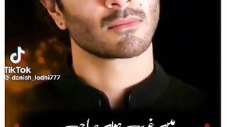 Main mohbbat nhe kar sakat