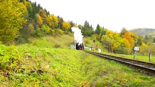 An old steam train going out of the tunnel - adalinetv