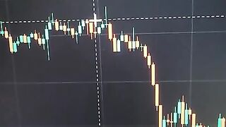 Beginner Traders On Their First Day Be Like