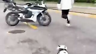 With_helmet_this_cute_riding_a_motorcycle_