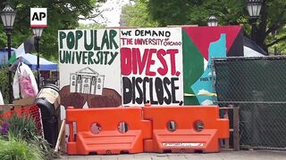 Group of University of Chicago faculty defend pro-Palestinian encampment.