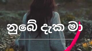 Numba Deka Ma Niuna - Tiktok Song