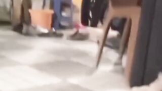 MANJAKAN KUCING DENGAN KASIH SAYANG MAJIKAN