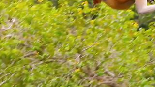 Macaco
