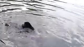 isherman noticed something strange floating in the lake...   What kind of animal is it?