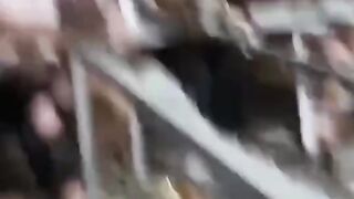40 yılda bir yaptığım artistlik..