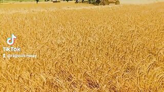 Beautiful video