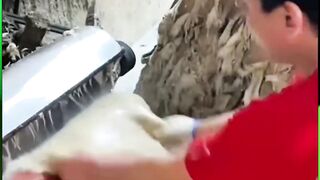 The Monster Crusher - Powerful Shredder Machine
