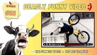 The funniest videos | Try not to laugh ???? selection 28