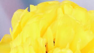 FLOWER 70,United States, Canada, Australia, UK