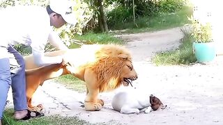 Funny video