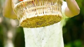 Amazing cook video