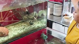 200 Dollar Australia Lobster