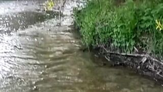 Beautiful nature