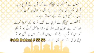 Sahih Bukhari # 55 56