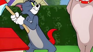 Tom & Jerry chapter 36