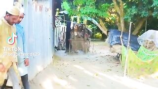 Funny video