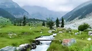 status,status video,status song,status whatsap,beast song,good song,video,songs