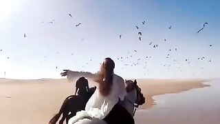 status,status video,status song,status whatsap,beast song,good song,video,songs