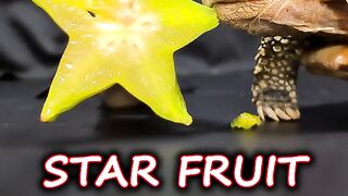 ASMR star fruit Mukbang