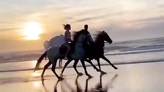 status,status video,status song,status whatsap,beast song,good song,video,songs
