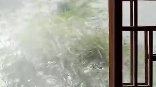 status,status video,status song,status whatsap,beast song,good song,video,songs