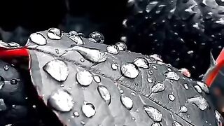 status,status video,status song,status whatsap,beast song,good song,video,songs