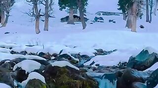 status,status video,status song,status whatsap,beast song,good song,video,songs