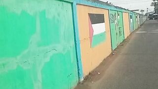 Palestinian border wall