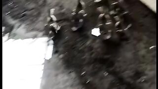 playing with duck children