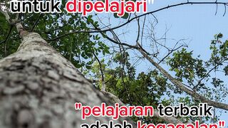 Pohon kehidupan bagi bumi