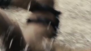 FAST FIVE (2011) part 14