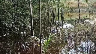 Flooding