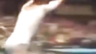 Amazing , Flash