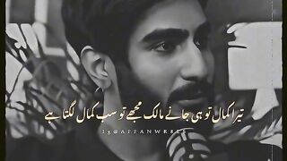 Aqwal e zareen in Urdu