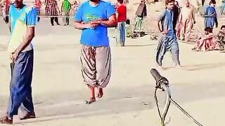 Wali ball match