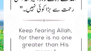 Best wishes Quotes