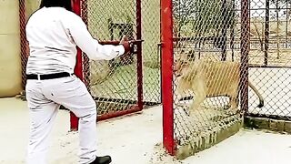 #animalactivist #animallover #savetheanimals #animals #animalsavior