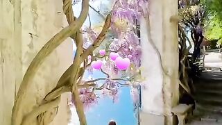 status,status video,status song,status whatsap,beast song,good song,video,songs