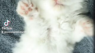 Aaaaaaassa