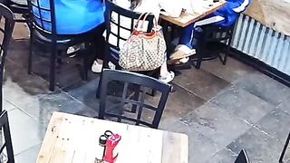 Deer smashes through restaurant window
