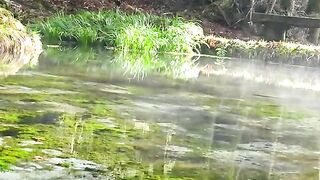 Under the ordinary scenery