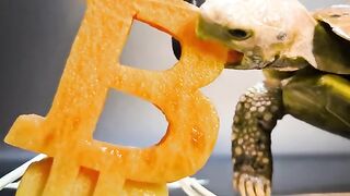 ASMR mukbang BITCOIN