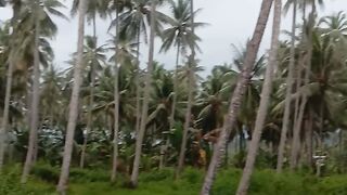 Suasana Desa
