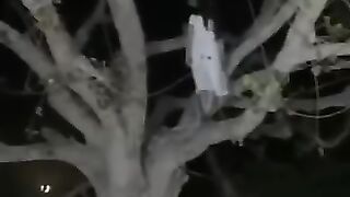 ????????????