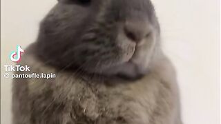 ????????????