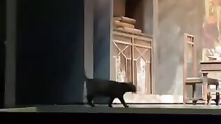 The main character enters the stage
