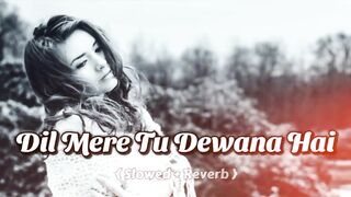 Dill mere to dewana hai old Indian song