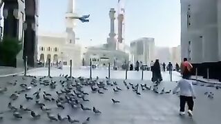 Whatsapp status _ Allah Forgiver _ Short Video_shorts _status _naat