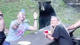 The hungry bear & campers